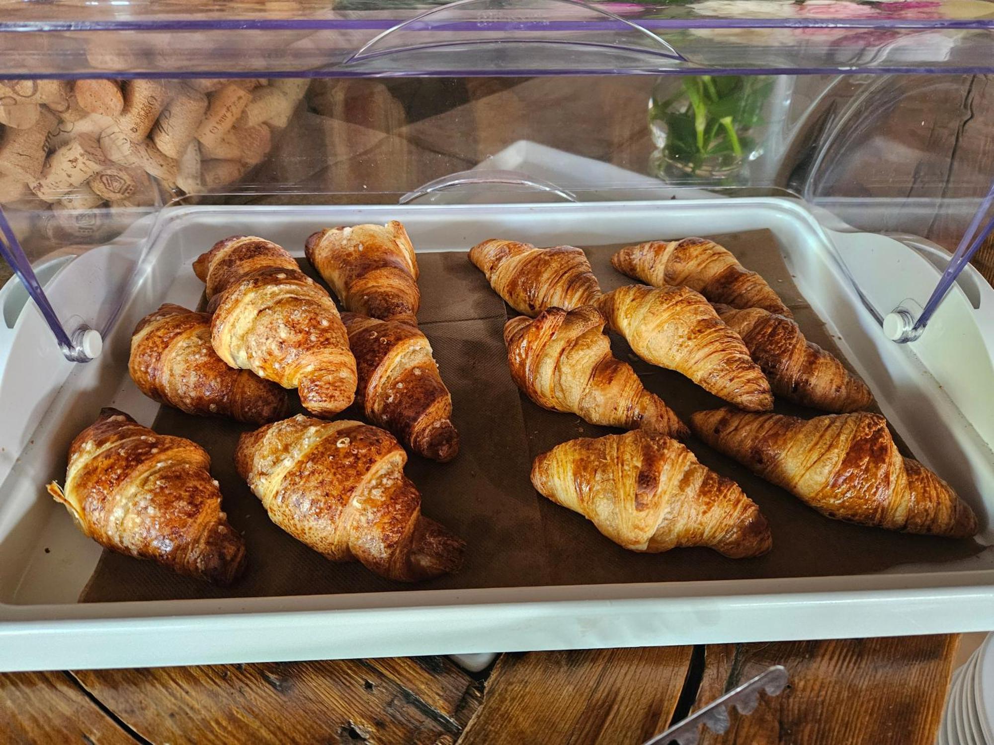 Sobe Sole Hotel Cepljani Ngoại thất bức ảnh